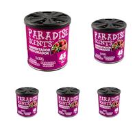 Paradise Scents Paradise PER80123 Perfumador Lata Gel Fresa 100 g (Paquete de 5)