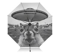 Paraguas con protección UV Suqirrel Surprise, divertido, compacto para lluvia y sol, apertura y cierre automáticos, UPF 50+, resistente al viento, portátil, 46 pulgadas, para mujeres y hombres