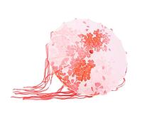 Paraguas de cinta de seda, paraguas decorativo para danza, marco de madera artesanal con elegante ribete de encaje para sesiones de fotos, cosplay, actuaciones en escena y (Estilo serpentina rojo