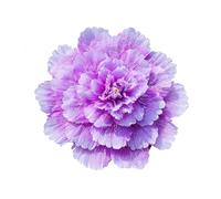 Paraguas de peonía artificial grande para ventana de estudio, accesorios de tiro, festivales, celebraciones, bailes, actuaciones, peonías (morado, 70 cm)