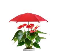 Paraguas De Plantas, Protección Solar y Resistencia al Agua, Sombrilla De Jardín Sombra Para Plantas En Maceta, Mini Dosel para Flores en Maceta con Estaca, Parasol Resistente a la Intemperie