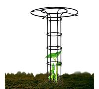 Paraguas de soporte para plantas de jardín, enrejado de metal de 150 cm para uso en interiores y exteriores, resistente al óxido, ideal para flores, verduras, frutas y vides (negro)