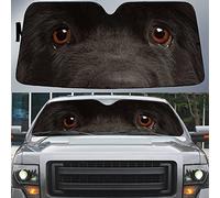 Paraguas Luna De Coche Portátil Parasol para Parabrisa Protección Rayos UV Parasol Coche Delantero Universal para Vehículos SUV Camión Ojos del Perro Terranova, Hermosos Ojos del Perro Terranova L