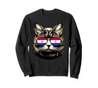 Paraguay Cat Lover Bandera Paraguaya Sombras Gatos Dueño Sudadera