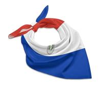 Paraguay Flag Soft Imitated Silk Neck Scarf Multi-Purpose Head Hair Wrap Wrist Handkerchief Bag Decor Kerchief For Daily Wear(18"x18")