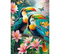 Paraiso de los Tucanes (1000pz)