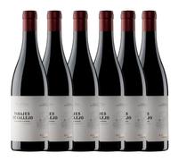 Parajes de Callejo 2020 - Vino Tinto Crianza Ribera del Duero - Degusta la Elegancia en Cada Sorbo - Combinar Quesos de oveja, Carnes, Asados y Embutidos - Pack 6 Botellas 750ml