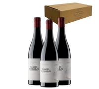 Parajes de Callejo - Ideal para Maridar con Carne y Comida Mediterránea - Pack 3 Botellas 75cl