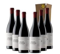 Parajes de Callejo - Ideal para Maridar con Carne y Comida Mediterránea - Pack 6 Botellas 75cl