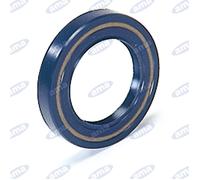 PARAOLIO 55x80x10MM ADAPTABLE A TRACTOR FIAT LANDINI HURLIMANN SAME RUEDA