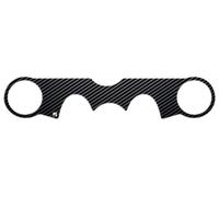 Paraserbatoio.it Adhesivo resinado Protector para placa de dirección con hinchazón compatible con Suzuki GSX 650 F del 255,1 x 51,2 mm Carbon