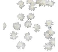 Parche Bordado Flores Parches de Flores de Encaje con Velo y Apliques en Blanco Roto con Perlas y Cuentas for Coser (10 Unidades)