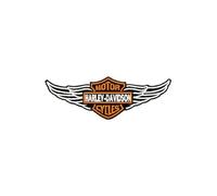 Parche bordado termoadhesivo mediano, parche bordado para coser para tejidos, camisetas, vaqueros, ropa