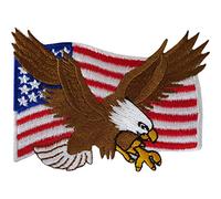 Parche de bandera de Estados Unidos para coser o planchar con diseño de águila de los Estados Unidos de América