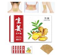 Parche de jengibre para alivio muscular y articular, terapia de calor natural para molestias de espalda, cuello y articulaciones, de larga duración, fácil de usar, 6 cajas de 120 parches para una