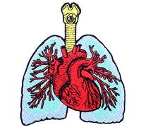 Parche termoadhesivo para la ropa, diseño de El pulmón y el corazón