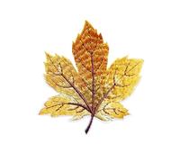 Parches bordados para coser, 3 piezas de parches termoadhesivos de transferencia de calor de hoja de arce bordada multicolor for ropa DIY(O705)