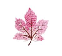 Parches bordados para coser, 3 piezas de parches termoadhesivos de transferencia de calor de hoja de arce bordada multicolor for ropa DIY(O701)