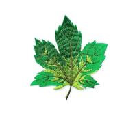 Parches bordados para coser, 3 piezas de parches termoadhesivos de transferencia de calor de hoja de arce bordada multicolor for ropa DIY(O704)