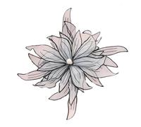 Parches bordados para reparaciones, Embroidered Flowers Appliques Patch for Dress DIY Decoration White Black 25cm 1pcs(Black)