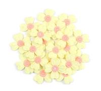 Parches de tela con flores bordadas Lote de 20 parches bordados flores multicolores, pegatinas tela for ropa, accesorios costura y decoración(Yellow)