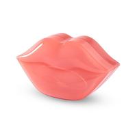 Hydrogel Lip Mask 22 Uds
