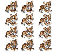 Parches para planchar, 12 piezas para coser en bricolaje, apliques decorativos, pegatinas, pegatinas de tela bordadas, parches bordados con patrón de piel de tigre para mochilas de tela, vaqueros, abr