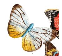 Parches para ropa Kits de bordado mariposas for principiantes con aro, broche mano artesanal, Kit, costura hecha a, conjunto punto cruz, decoración(Embroidery Kit-B)