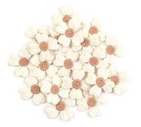 Parches Para Ropa Lote de 10 parches bordados flores multicolores, pegatinas tela for ropa, accesorios decoración y costura(Beige)