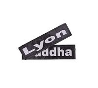 Parches Personalizados con Nombre para Arnés - Incluye dos Etiquetas Intercambiables Personalizadas - Para Pechera de Perro y Diversos Arneses de Perros - Reflectantes y Visibles (Pequeño 11x3CM)