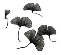 Parches Ropa Termoadhesivos 10 Uds. De encaje blanco y negro, hojas de Ginkgo, parche bordado de flores, reparación de apliques(Black)