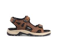 Paredes - Sandalias Trekking Hombre Aral Marrón - 41