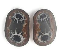 Pareja de Septária Piedra de Marruecos Mineral Espiritual Septaria Roca Abierta