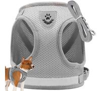 PARENCE.- Arnés para Perros y Gatos Talla S con Correa - Chaleco de Malla Ajustable y Transpirable, Seguridad y Comodidad para Cachorros, Gatitos y Animales pequeños