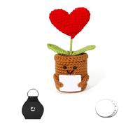 PARFCO Regalos Motivadores Divertidos, Corazón Positiva de Punto, Lindo Pocket Hug Regalo Positivo, Planta Maceta Amor Rojo con Monedas Conmemorativas y Estuche Cuero, para Decoración y Regalo