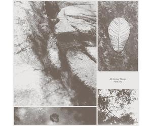 Park Jiha Park Jiha: All Living Things (Vinyl) 12" Album (Importación USA)