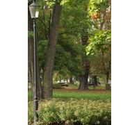 Park Lantern, GDAŃSK STREET early fall city park photo, Simple Weekly Planner Undated, 52 weeks Work and Life Tasks Managment, Notebook Weekly Goal Setting Journal For Women & Men