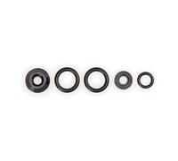 Park Tool Inf-1 - Kit de Sellado de Cabeza Negro/Plateado, Talla única
