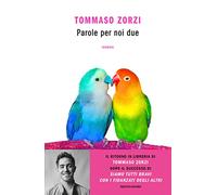 Parole per noi due (Novel)