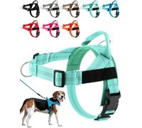 Paropet No Pull Dog Harness, Paropet Dog Harness, Soft, Breathable Padding, Durable D-Rings, and a Secure Grip Handle - Designed for Dogs of, from Small to Large Breeds (Green,XS)