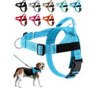Paropet No Pull Dog Harness, Paropet Dog Harness, Soft, Breathable Padding, Durable D-Rings, and a Secure Grip Handle - Designed for Dogs of, from Small to Large Breeds (Blue,XS)