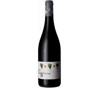 Paroxysme 2024 - Cellier de la Baraterie