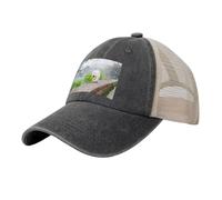 Parque Bichón Frisé Mascotas Perros Perros Bichón Frisé, Sombreros clásicos para papá, Gorras de Camionero Ajustables, Gorra de béisbol de Malla de Vaquero