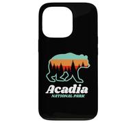Parque Nacional Acadia Maine Bear Mountains Carcasa para iPhone 13 Pro