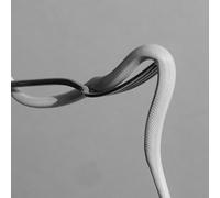 Parrhesia (Neon Orange Vinyl) (Indies)-ANIMALS AS LEADERS