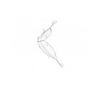 Parrilla besuguera inox (doble abombada) 54x13.5x8cm. 2610 Sauvic