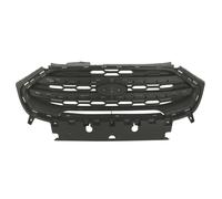 Parrilla de radiador BLIC 6502-07-2588995P