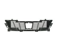 Parrilla de radiador BLIC 6502-07-5518990P