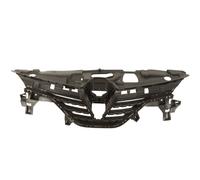 Parrilla de radiador BLIC 6502-07-6001990P