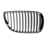 Parrilla Del Radiador Derecho Se Adapta A: BMW 1 E87 11.03-03.07